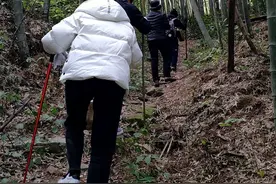 洞天寻隐·洞霄纪｜风水变局与深山棋会：栖真洞再发现手记图片