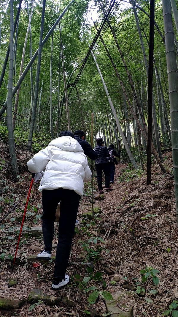 exo浮世萦香攻略（洞天寻隐·洞霄纪｜风水变局与深山棋会栖真洞再发现手记）