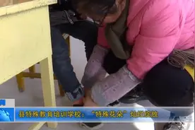 县特殊教育培训学校：“特殊花朵”灿烂绽放视频封面