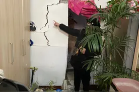 “都劝我等，可房子等不了”！邻居家大树顶裂自家墙体，这可咋整图片