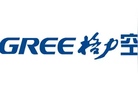 长沙男子14年前花万元购买抢注的“格力空调”域名，未到期却发现抢注公司“一址二卖”图片