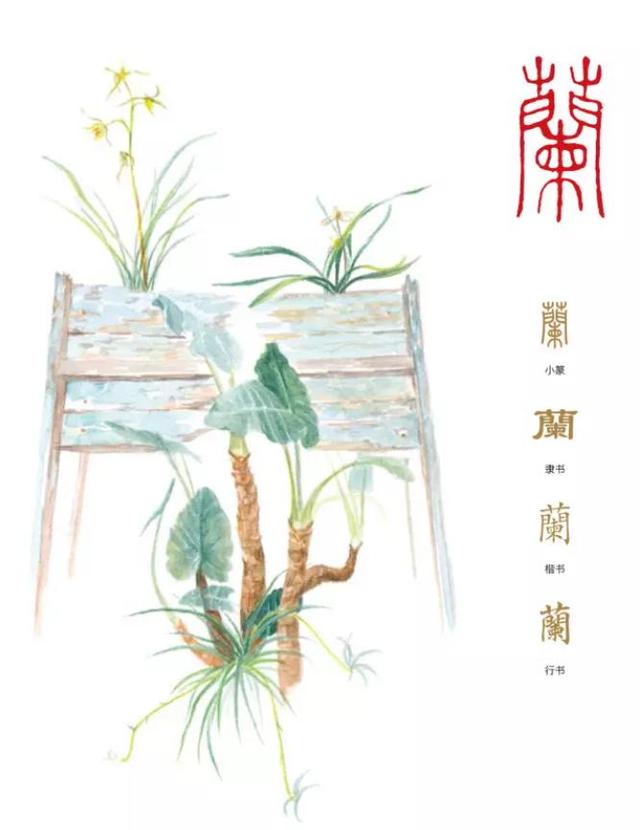 聆听汉字之美：《花草字传》，了解“兰”