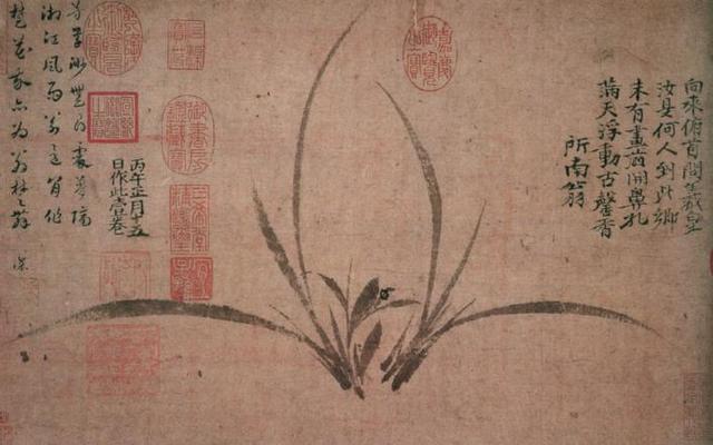 聆听汉字之美：《花草字传》，了解“兰”