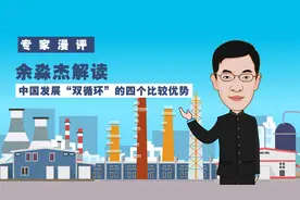 「专家漫评」余淼杰解读中国发展“双循环”的四个比较优势图片