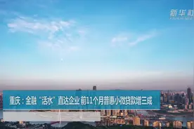 重庆：金融“活水”直达企业 前11个月普惠小微贷款增三成视频封面
