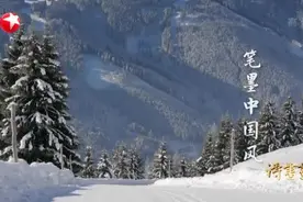 20201224《诗书画》：诗书画中的冬日印象·白玉寒梅视频封面