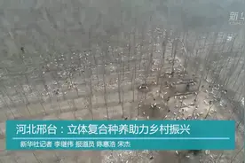 河北邢台：立体复合种养助力乡村振兴视频封面