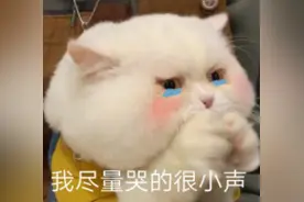 动不动就哭，杭州女白领眼泪流不停！领导、同事都因此有意见图片