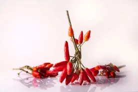 《自然》：吃辣能促进造血！科学家发现痛觉神经促进造血的机制，吃辣椒或有助于动员骨髓中的造血干细胞丨科学大发现图片