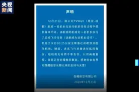 西藏航空一机长执行任务落地后去世，航空界“双机长”制是如何运行的？图片