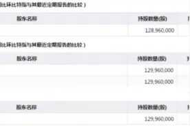 大恒科技内控问题浮现 徐翔母亲郑素珍持股突遭冻结图片