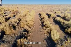 “保护家乡”，夫妻18年在沙漠种下4000多亩梭梭，网友送上祝福图片