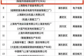 上海市首批20家智能工厂出炉，奉贤3家企业榜上有名图片
