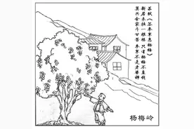 慢慢看！西湖景区九溪乾龙路全新亮相，这条路上原来有这么多好故事图片