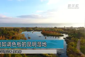 宛如调色板的昆明湿地视频封面
