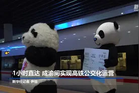 1小时直达 成渝间实现高铁公交化运营视频封面