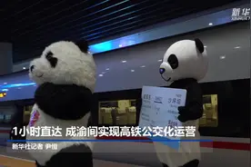 1小时直达 成渝间实现高铁公交化运营视频封面