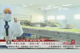 泡菜企业订单逆势猛增，收购自种蔬菜，“蔬菜小镇”销路不用愁视频封面