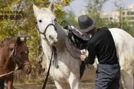 「紫牛头条」律师8个月骑马旅行3000公里：我太难了，还有5000公里到家图片