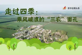 极不平凡的2020，看中国农人乘风破浪图片