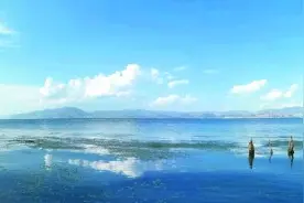 一条生态廊道，让洱海发生了哪些变化图片