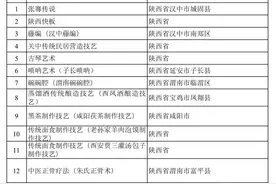 张骞传说、唢呐艺术……这些新入选的非遗，你了解吗？图片