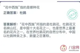 花中西施指的是哪种花 蚂蚁庄园2020年12月26日答案今天答案图片