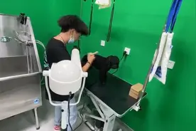养宠者福利！魔都首家24小时无人洗宠店，西高地洗澡20元视频封面