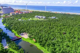 那香海获批“山东省康养旅游示范基地”图片