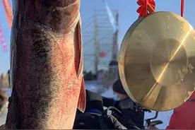 冬捕话“金源”“鱼跃”长岭湖——哈尔滨市第七届长岭湖冬捕冰钓旅游活动启幕图片