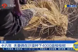 用十八年在沙漠种下4000亩梭梭树，他说：就算倒下，也要挡沙！视频封面
