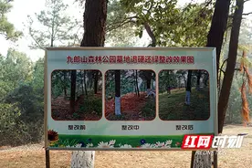 株洲市民政局全力推进殡葬改革 树立文明新风图片