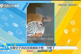 安徽宣城：女子河边洗碗遇扬子鳄，淡定称习惯了视频封面