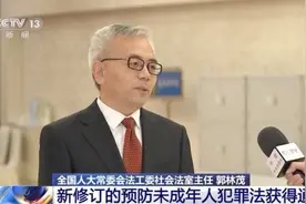 “收容教养”变“专门矫治教育”，让“少年的你”更好远离犯罪图片