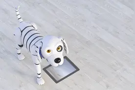 AI机器宠物，治愈孤独的良药还是情感疏离的帮凶？图片