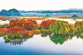 云南文山：普者黑冬日美如画图片