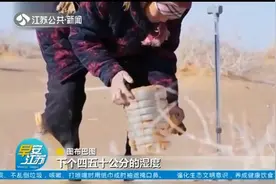 内蒙古：18年！7旬夫妻长居沙漠，种下4000亩梭梭树视频封面