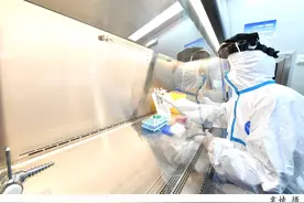 上海口岸：疫情不退，我们的防线就不会退图片