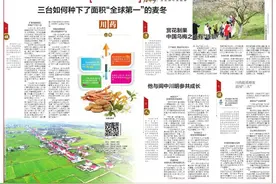 三台如何种下了面积“全球第一”的麦冬图片