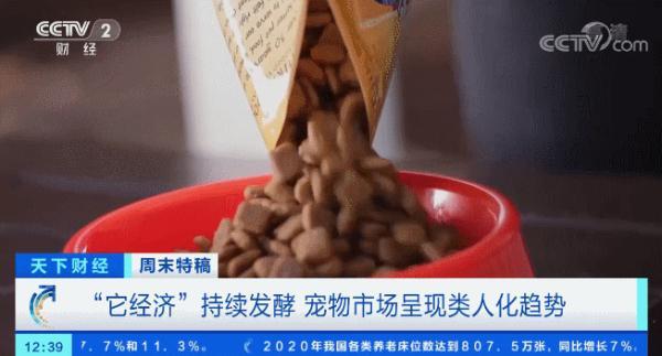 多国宠物市场爆发！这个品种的狗狗，需求暴增900%！你知道吗？在美国给宠物看病有多贵……