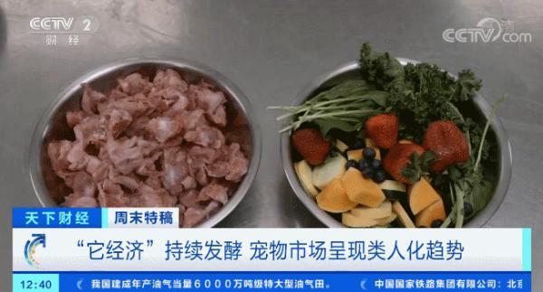 多国宠物市场爆发！这个品种的狗狗，需求暴增900%！你知道吗？在美国给宠物看病有多贵……