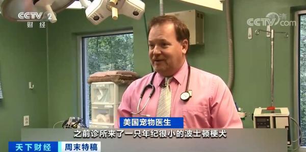 多国宠物市场爆发！这个品种的狗狗，需求暴增900%！你知道吗？在美国给宠物看病有多贵……