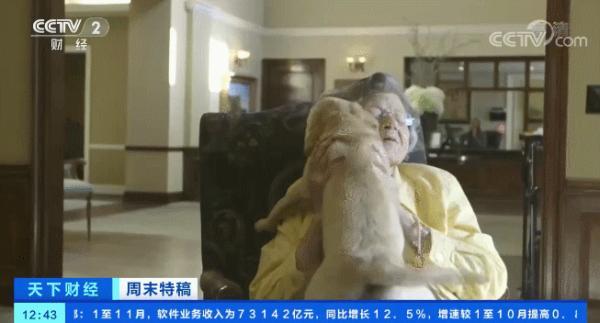 多国宠物市场爆发！这个品种的狗狗，需求暴增900%！你知道吗？在美国给宠物看病有多贵……