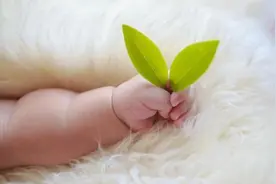 宝宝一出生就“27岁”，冷冻胚胎技术是如何做到的？图片