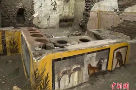 2000年前庞贝的“小吃摊”长啥样？菜单画给你看(图)图片