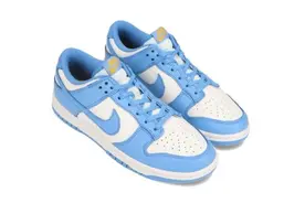 Nike Dunk Low最新配色“Coast”曝光，预计售价100美元图片