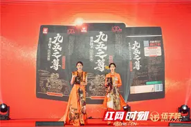 湘潭铺子·枸杞槟榔发布“九五之尊”100元系列新品图片