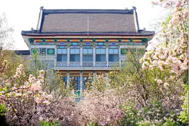 合计591人！山东师范大学等11家高校航空服务艺术与管理联考方案发布图片