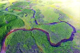 陕西新增一处国家级湿地公园——陕西汉中葱滩国家湿地公园图片