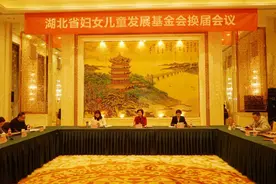 湖北省妇女儿童发展基金会换届会议在汉召开图片